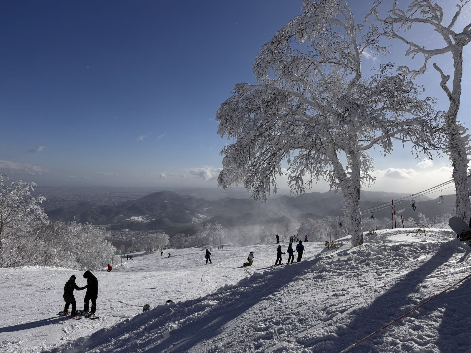 手稻 Highland 區山頂一帶的樹冰和雪道